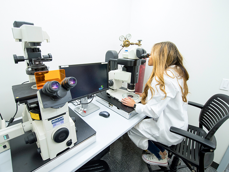 Student using a microscope during a laboratory experiment. 